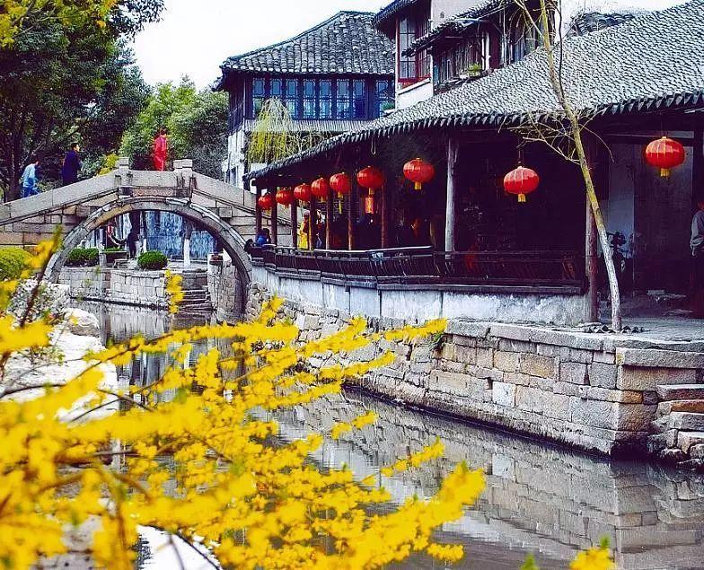 什么狗聪明听话又好养